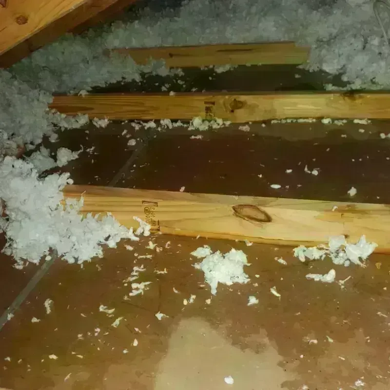 Attic Water Damage in Wilkin County, MN